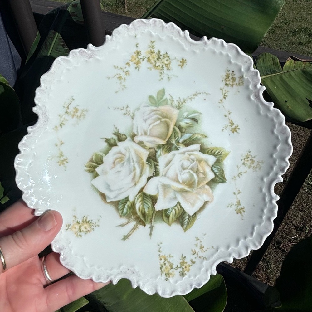 Vintage Rosenthal White Roses Plate!